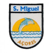 São Miguel Açores golfinho