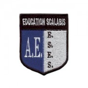 emblema estabelecimento ensino A.E