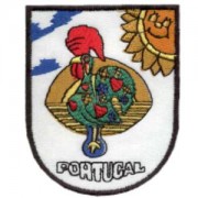emblema região Galo Barcelos.def