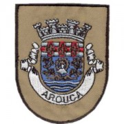 emblema vila Arouca.def