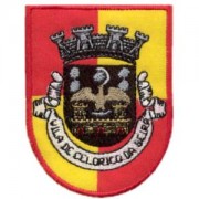 emblema vila Celorico da Beira.def