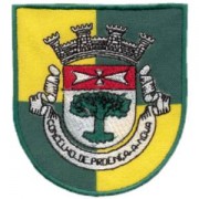 emblema vila Proença a Nova.def