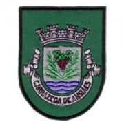 emblema-vila-carrazeda-de-ansiaes-def