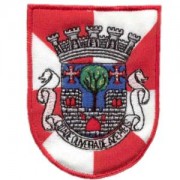 emblema cidade Oliveira Azemeis.def
