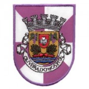 emblema cidade Oliveira Hospital.def
