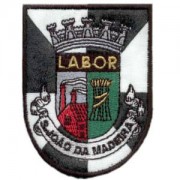emblema cidade S. João da Madeira.def