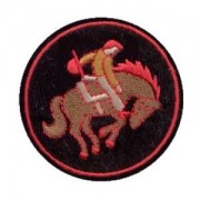 emblema-crianca-cavalinho-def