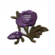 Emblemas Natureza flor violeta